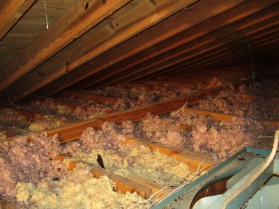 rodent-damage-to-insulation