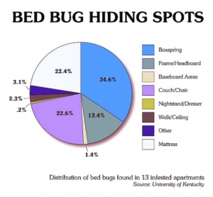 Bugmaster pest control Kelowna, Penticton, Vernon - Common bed bug hiding places