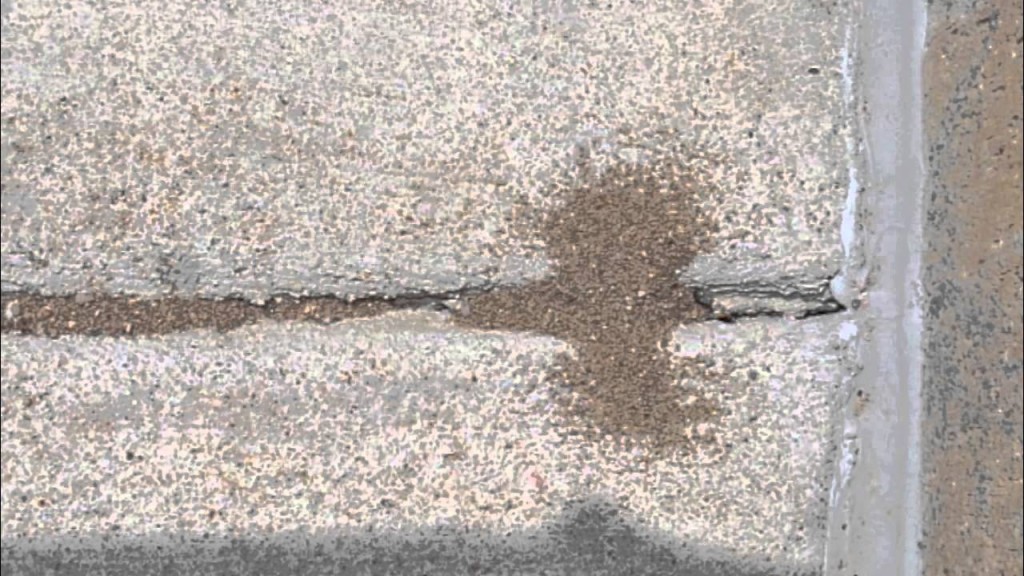 BugMatser Pest Control Kelowna pavement ant lump